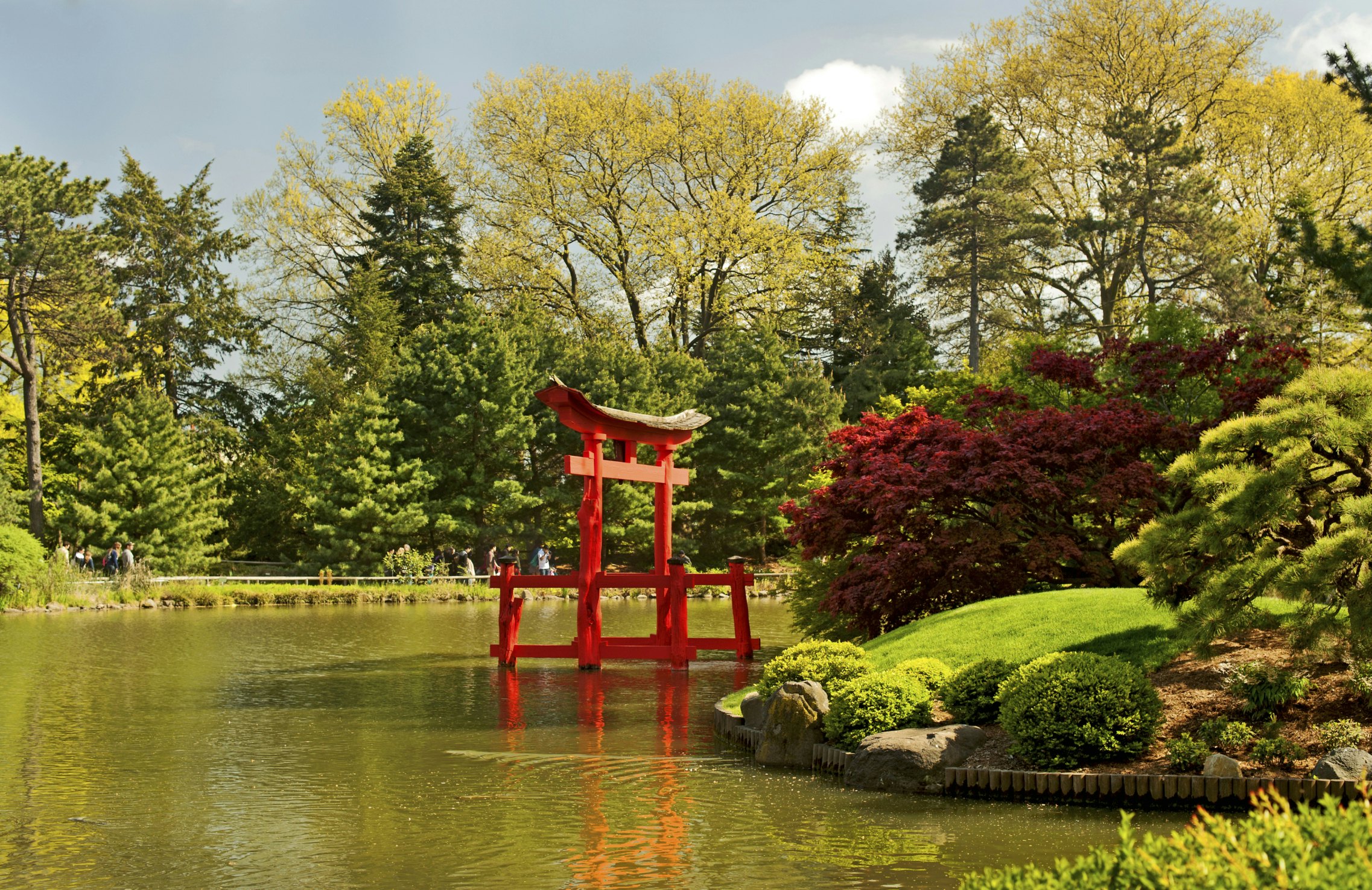 Japanese Hill and Pond Garden.
