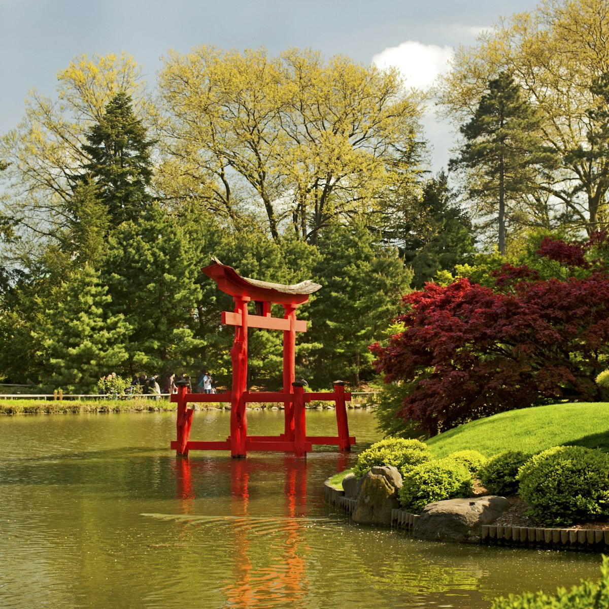 Japanese Hill and Pond Garden.