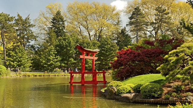 Japanese Hill and Pond Garden.