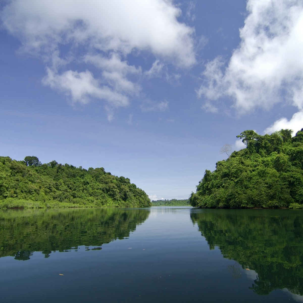 Mangrove swamp at Coiba National Park. Coiba Island, Veraguas province, Pacific ocean, Panama, Central America.; Shutterstock ID 112236317; Your name (First / Last): Alicia Johnson; GL account no.: 65050; Netsuite department name: Online Editorial ; Full Product or Project name including edition: Panama