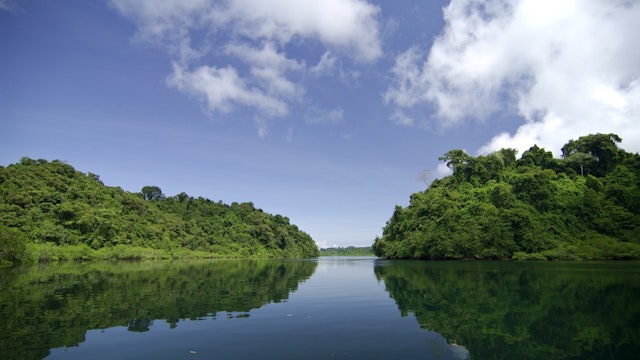 Mangrove swamp at Coiba National Park. Coiba Island, Veraguas province, Pacific ocean, Panama, Central America.; Shutterstock ID 112236317; Your name (First / Last): Alicia Johnson; GL account no.: 65050; Netsuite department name: Online Editorial ; Full Product or Project name including edition: Panama