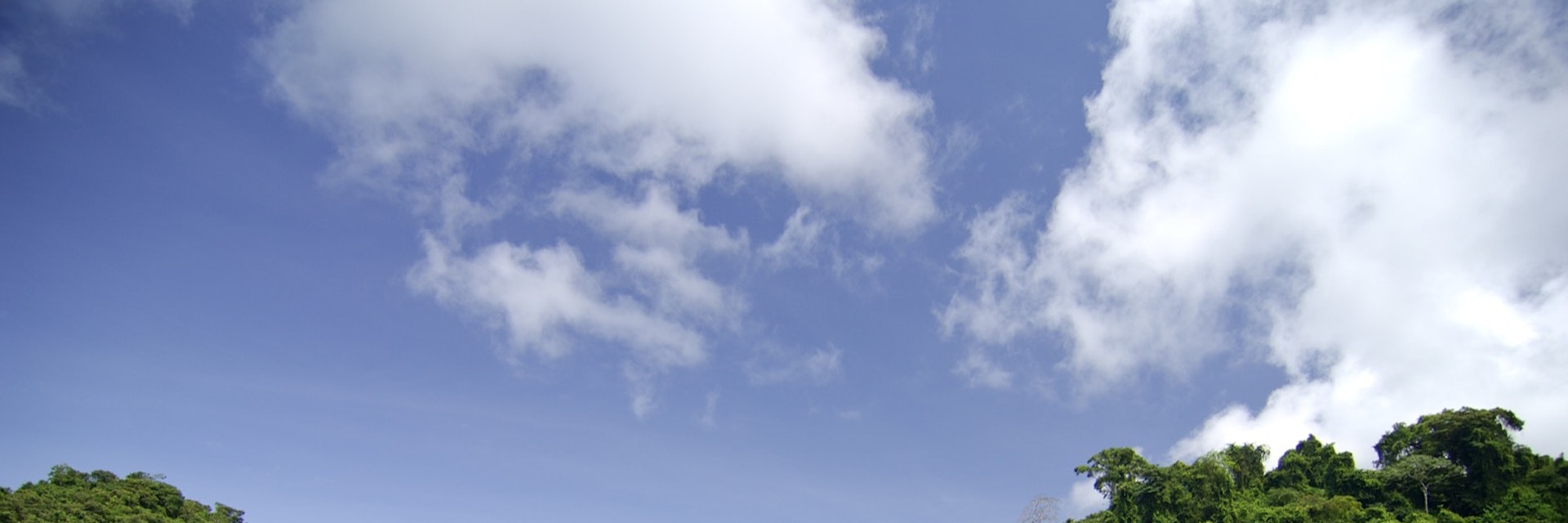Mangrove swamp at Coiba National Park. Coiba Island, Veraguas province, Pacific ocean, Panama, Central America.; Shutterstock ID 112236317; Your name (First / Last): Alicia Johnson; GL account no.: 65050; Netsuite department name: Online Editorial ; Full Product or Project name including edition: Panama