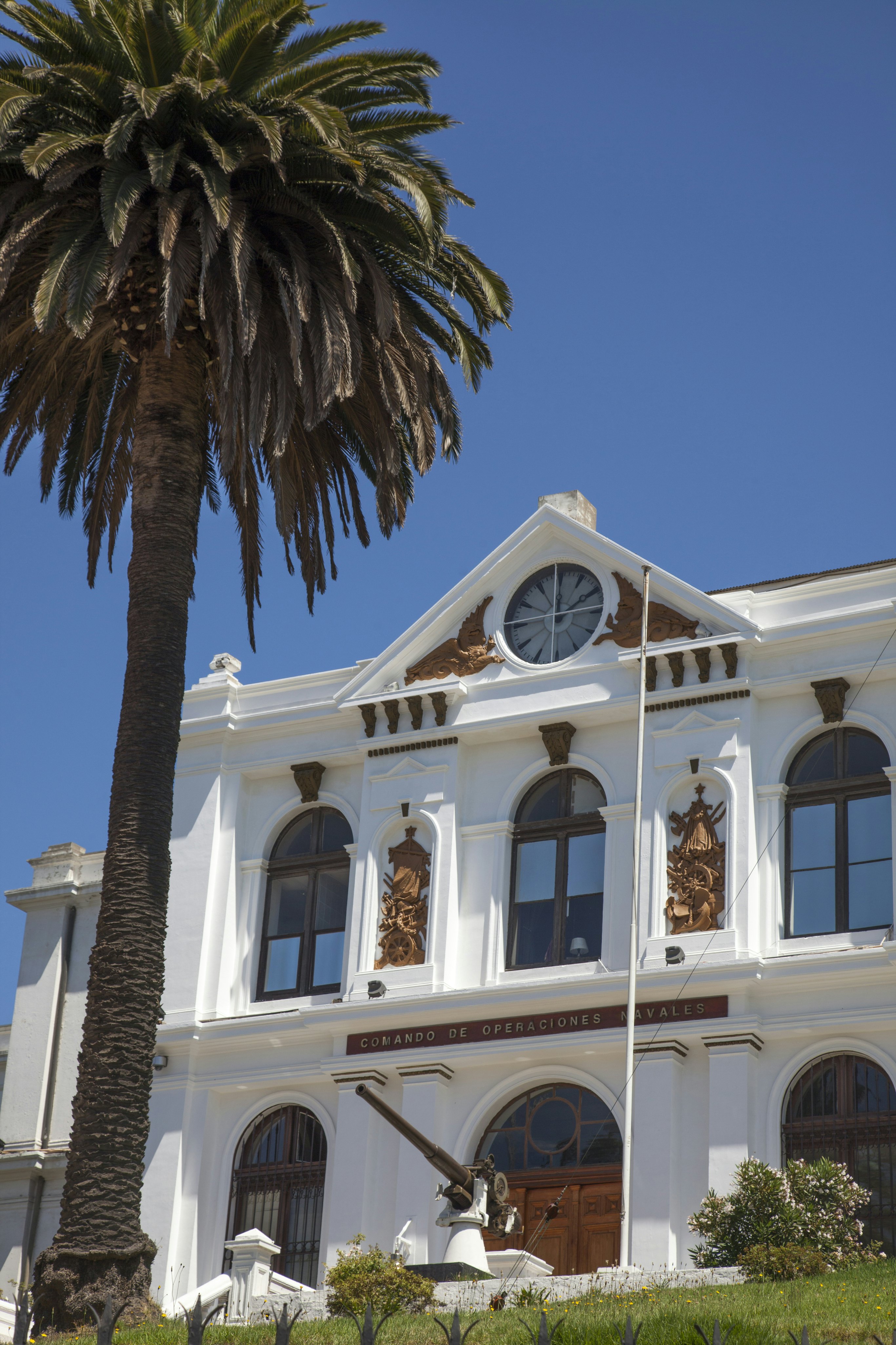 Palm tree at Valparaiso Naval and Maritime Museum