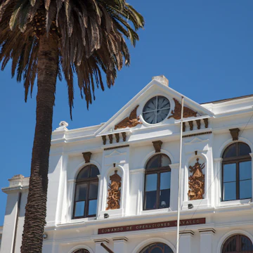 Palm tree at Valparaiso Naval and Maritime Museum