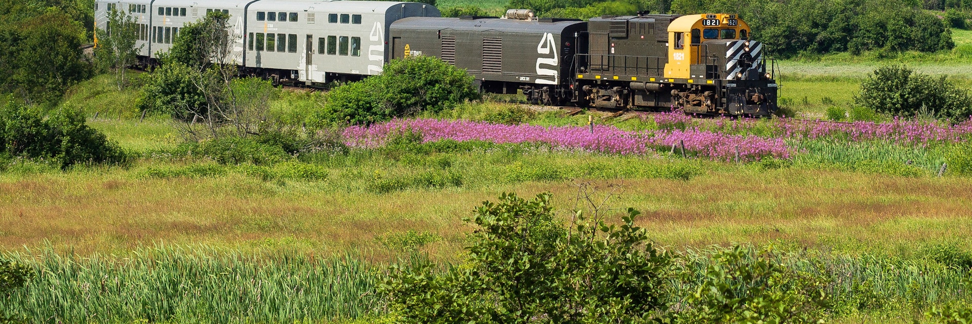 Train on Quebec City–La Malbaie railway line.