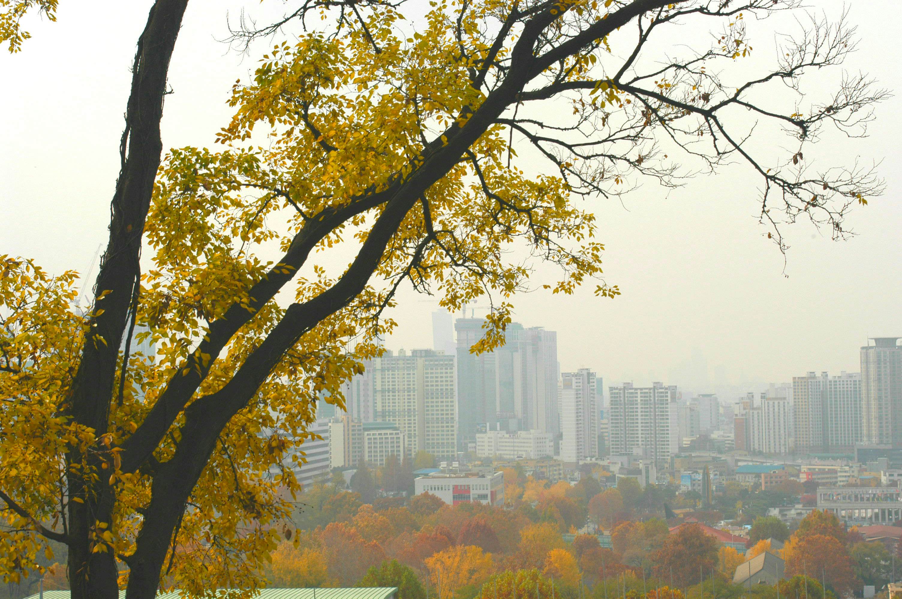 Itaewon Bugundang History Park