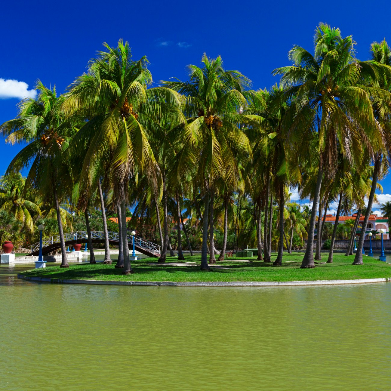 Beautiful view of a small island with royal palm trees in the park; Shutterstock ID 145453015; Your name (First / Last): Josh Vogel; GL account no.: 56530; Netsuite department name: Online Design; Full Product or Project name including edition: Digital Content/Sights