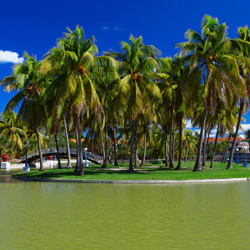Beautiful view of a small island with royal palm trees in the park; Shutterstock ID 145453015; Your name (First / Last): Josh Vogel; GL account no.: 56530; Netsuite department name: Online Design; Full Product or Project name including edition: Digital Content/Sights