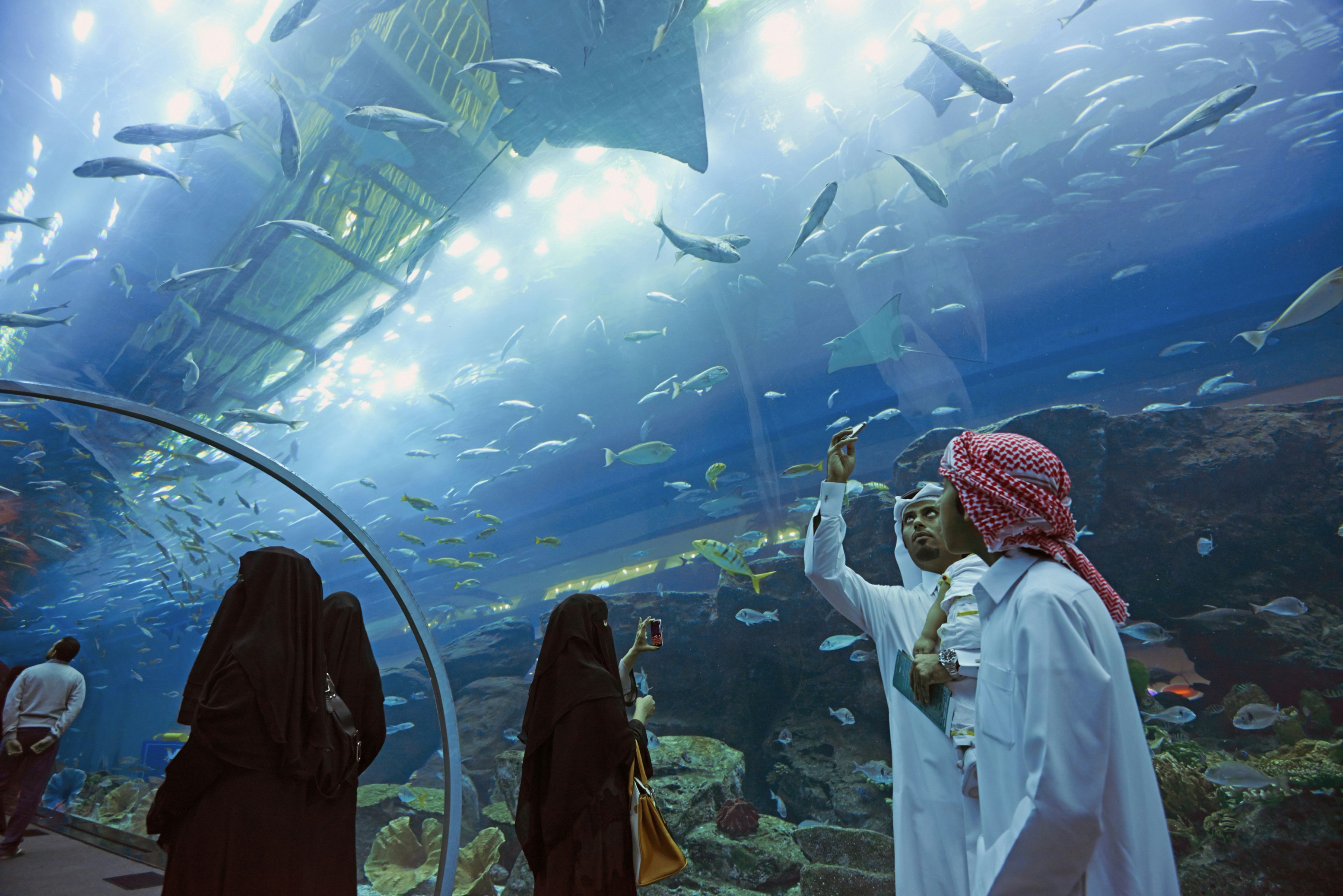 United Arab Emirates, Dubai, Mall, Aquarium