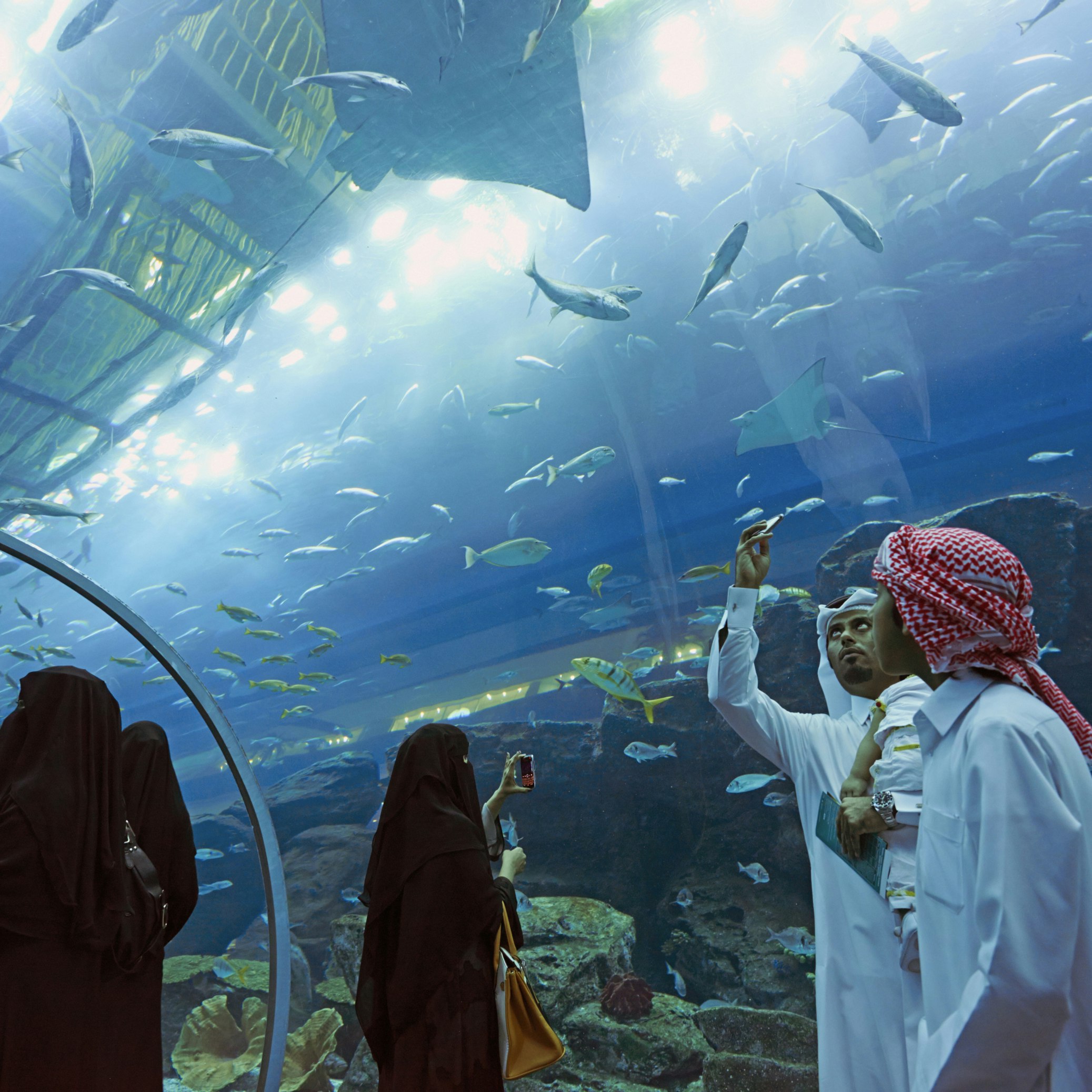 United Arab Emirates, Dubai, Mall, Aquarium