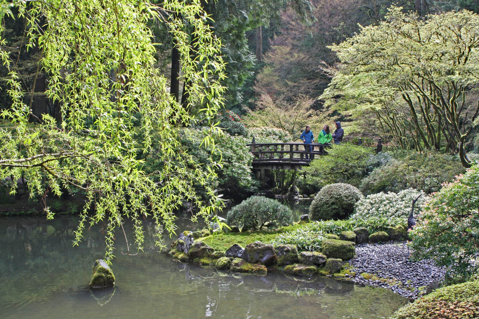 Japanese Garden