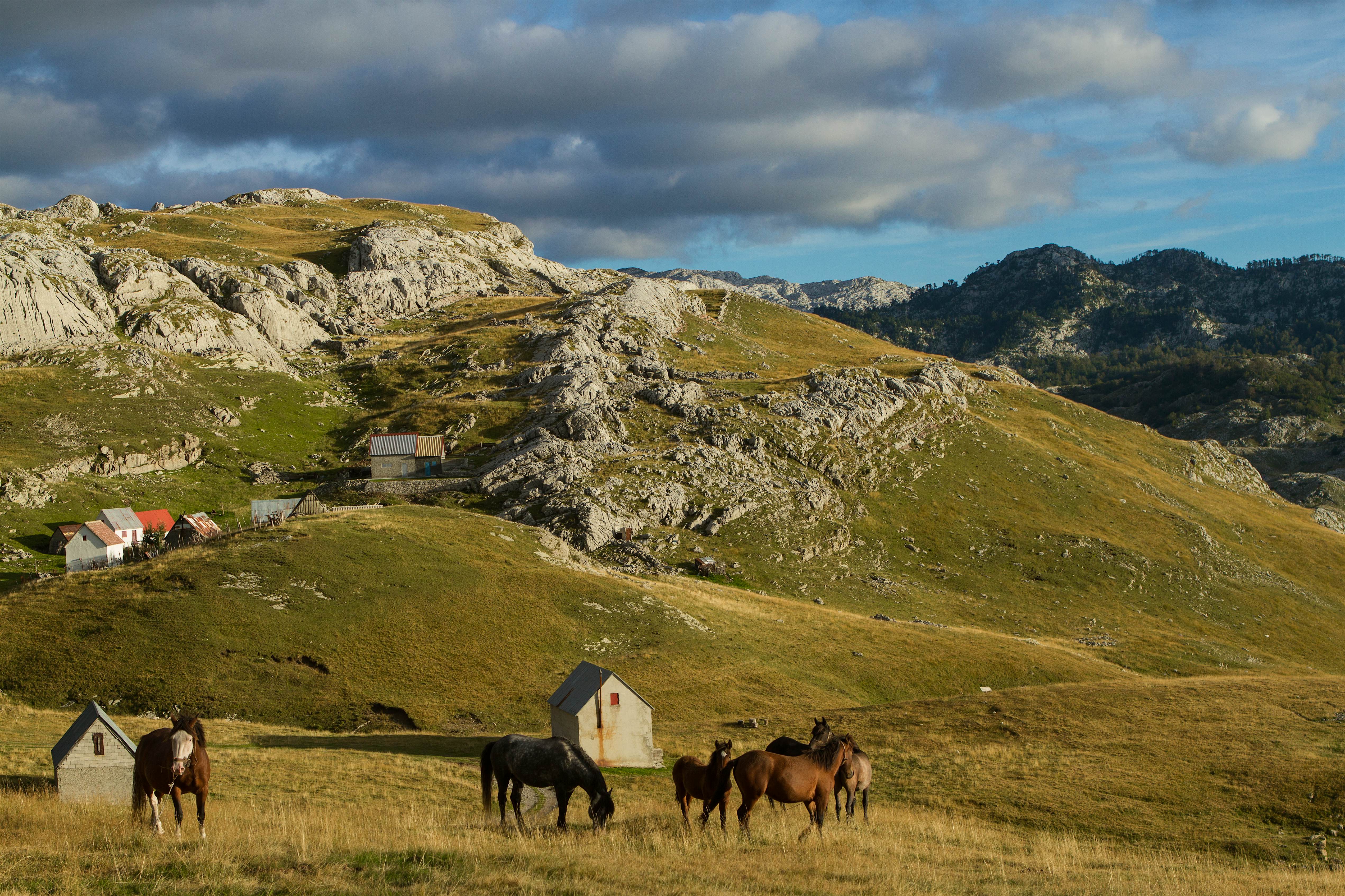 Montenegro travel Montenegro travel