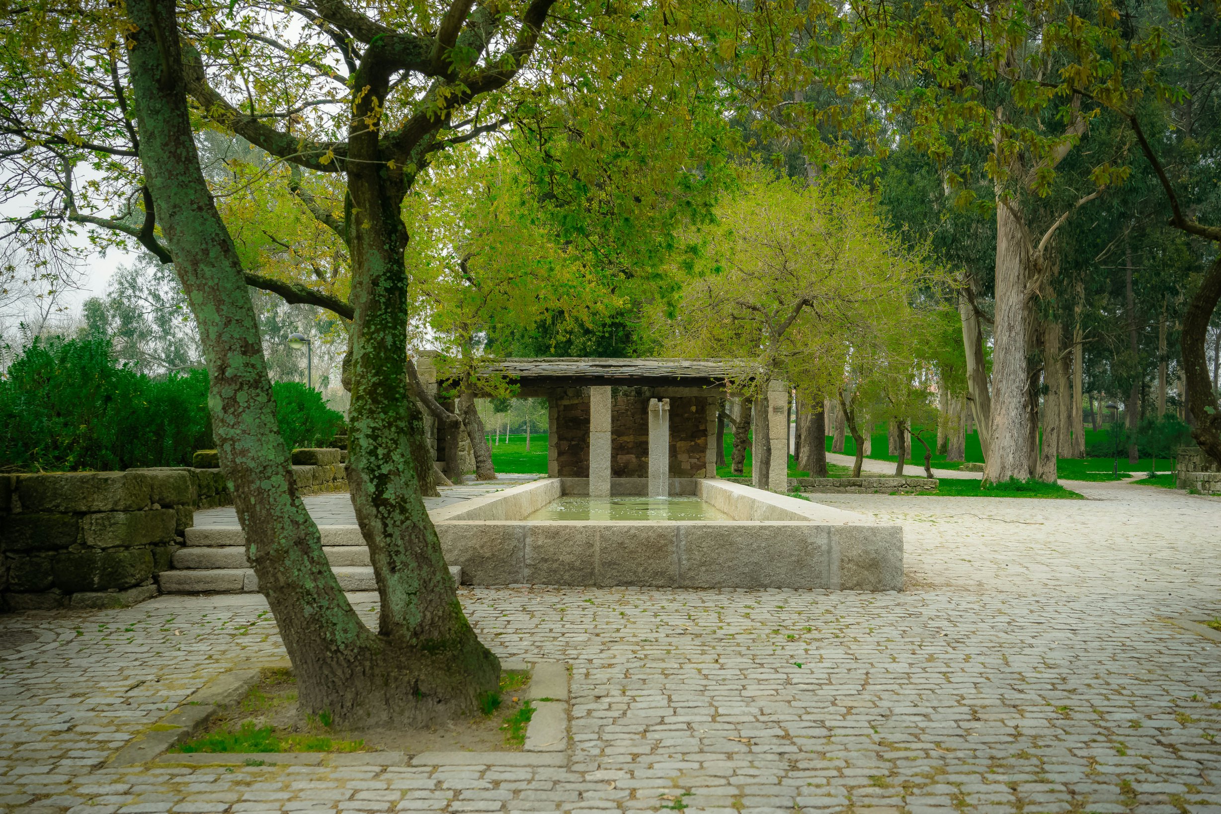 500px Photo ID: 124011707 -