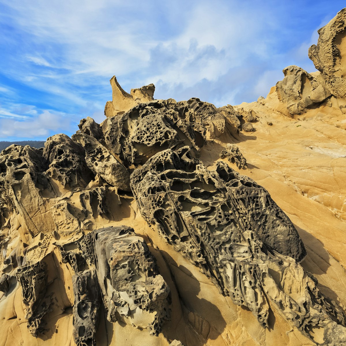 USA, California, alt Point State Park, Gerstel Cove, Sandstone Formation, Tafone