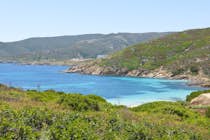 Parco Nazionale Dell Asinara Italy Attractions Lonely Planet