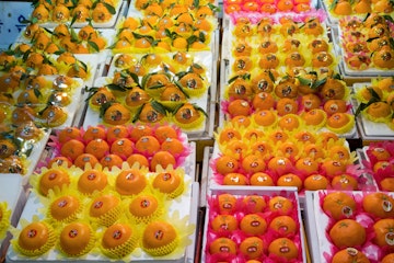 Oranges for sale at Dongmun Traditional Market