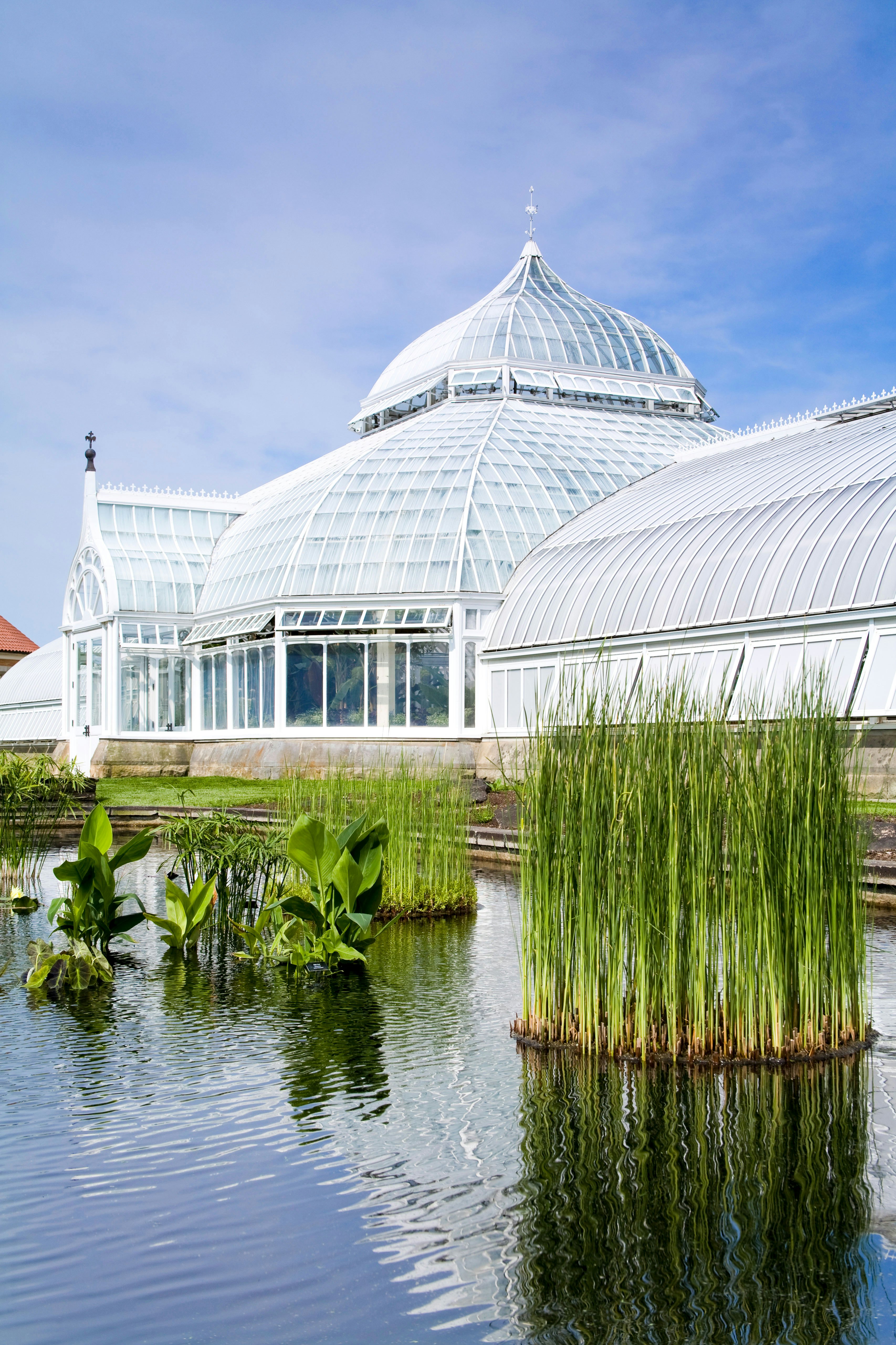 Image of Phipps Conservatory