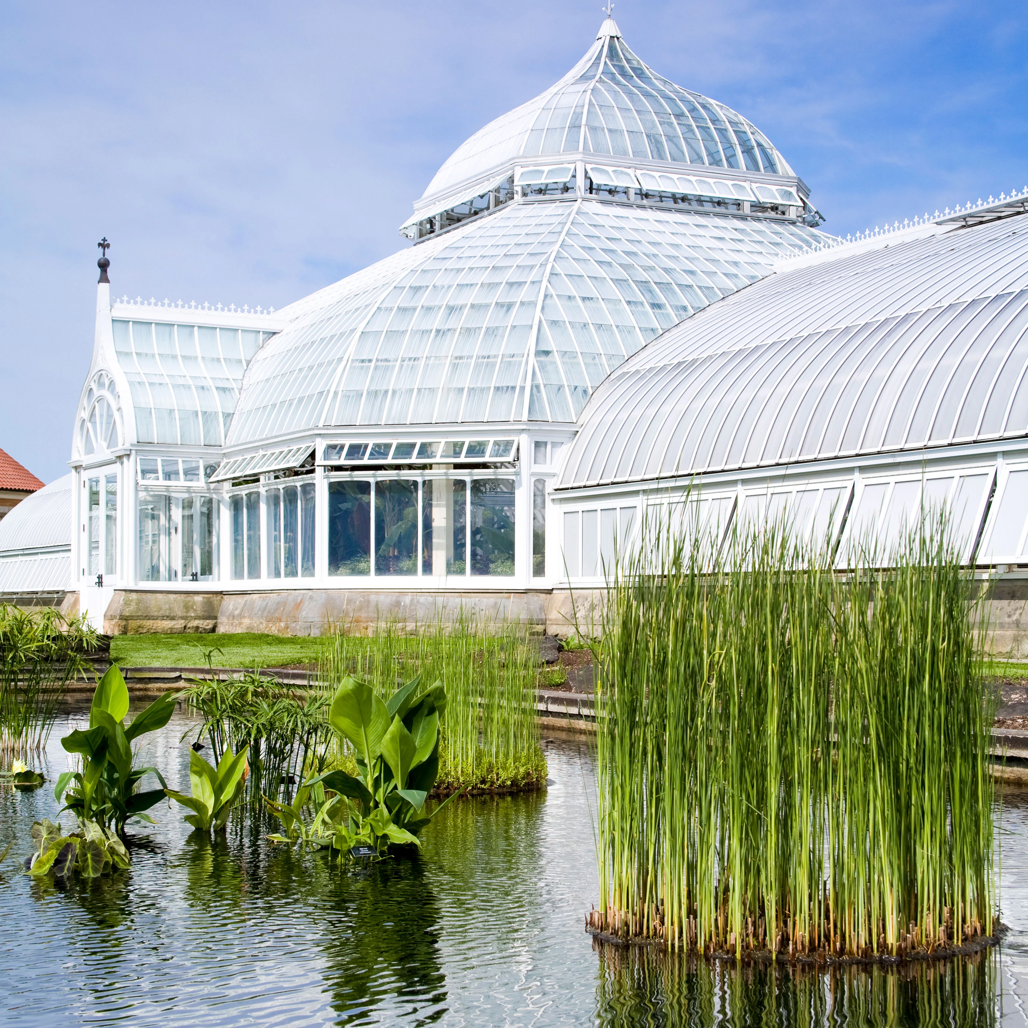 Image of Phipps Conservatory