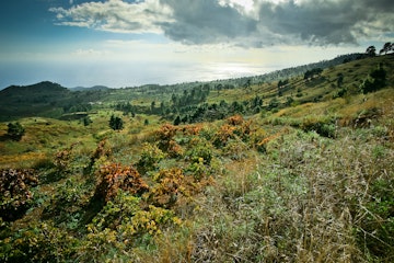El Hierro Landscape