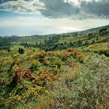 El Hierro Landscape