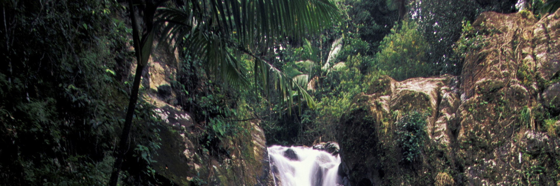 La Mina Falls, El Junque Rainforest National Park, Puerto Rico