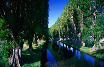 The River Avon in Christchurch.