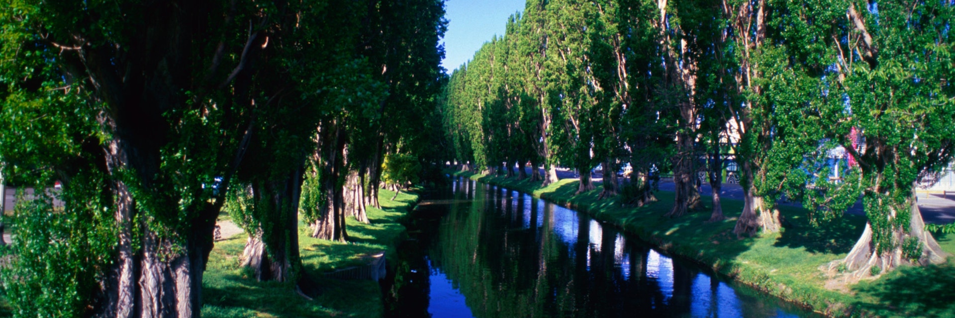 The River Avon in Christchurch.