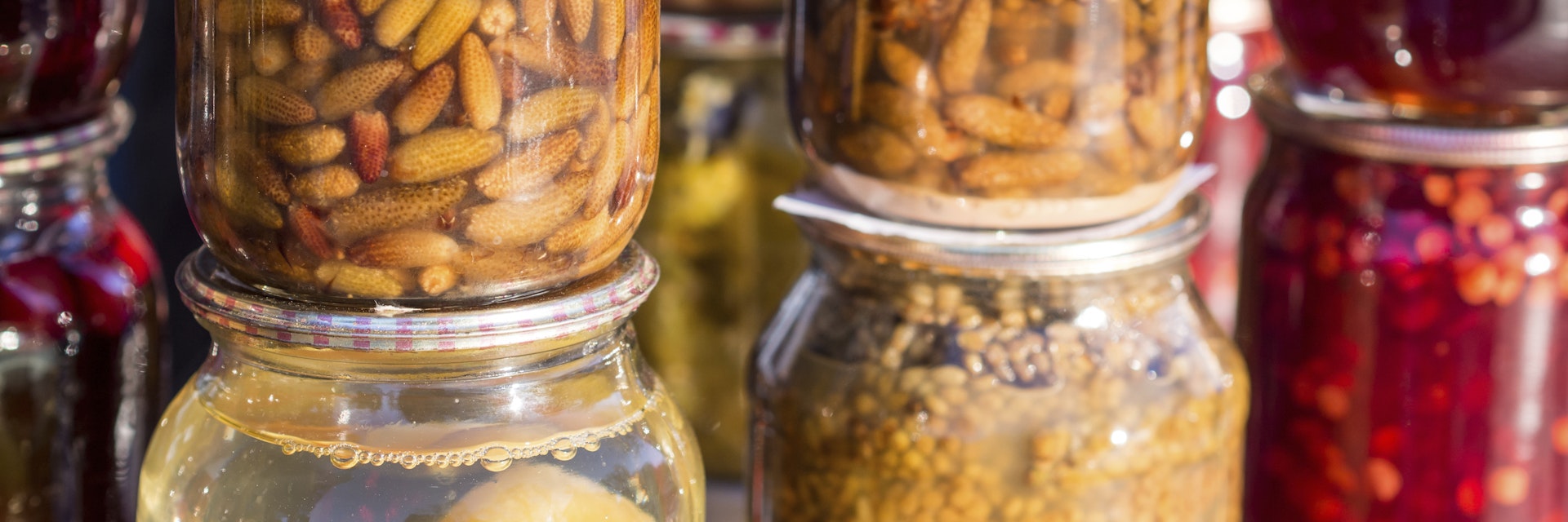 Pine tree cones jam