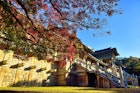500px Photo ID: 89384605 - UNESCO World Heritage Site, Bulguksa Temple in Autumn..(Jinheon-dong, Gyeongju city, North Gyeongsang province, South Korea)