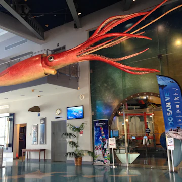 Bermuda Underwater Exploration Institute (BUEI)