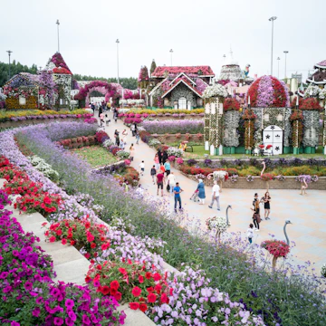Dubai Miracle Garden