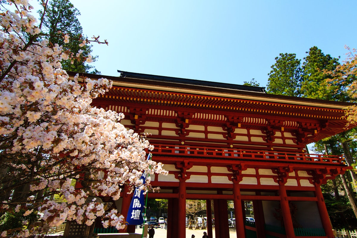 Chumon (Central Gate) of Danjo Garan Temple with Sakura, Mount Koya, Wakayama, Japan; Shutterstock ID 635857331; Your name (First / Last): Laura Crawford; GL account no.: 65050; Netsuite department name: Online Editorial; Full Product or Project name including edition: Kii Peninsula page online images for BiT