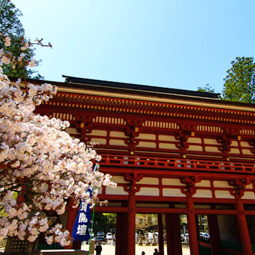 Chumon (Central Gate) of Danjo Garan Temple with Sakura, Mount Koya, Wakayama, Japan; Shutterstock ID 635857331; Your name (First / Last): Laura Crawford; GL account no.: 65050; Netsuite department name: Online Editorial; Full Product or Project name including edition: Kii Peninsula page online images for BiT