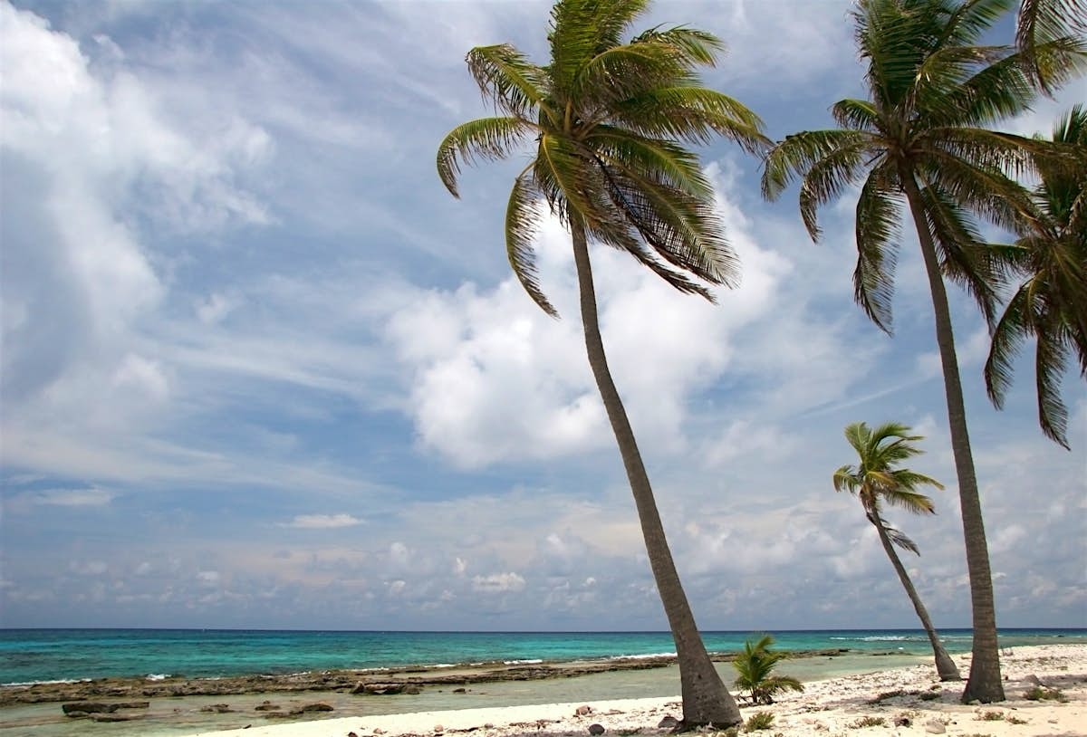 Half Moon Caye travel | Belize - Lonely Planet