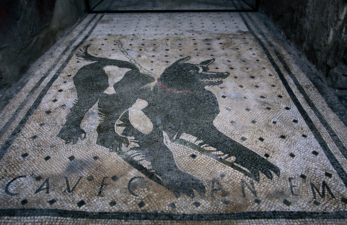 Dog mosaic in the House of the Tragic Poet.