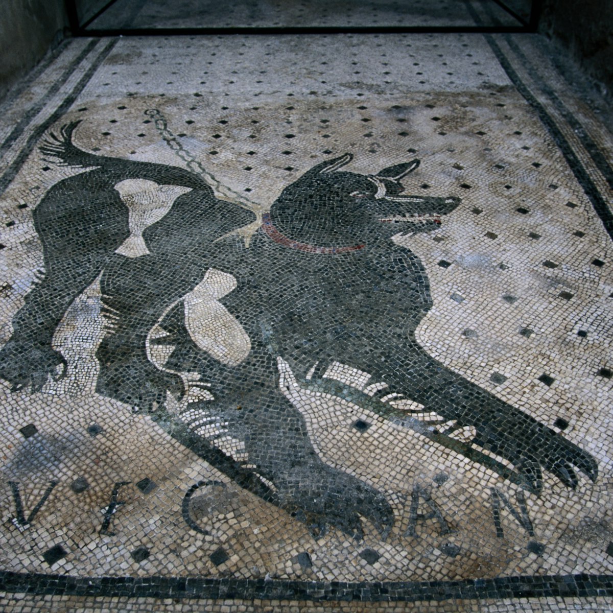 Dog mosaic in the House of the Tragic Poet.