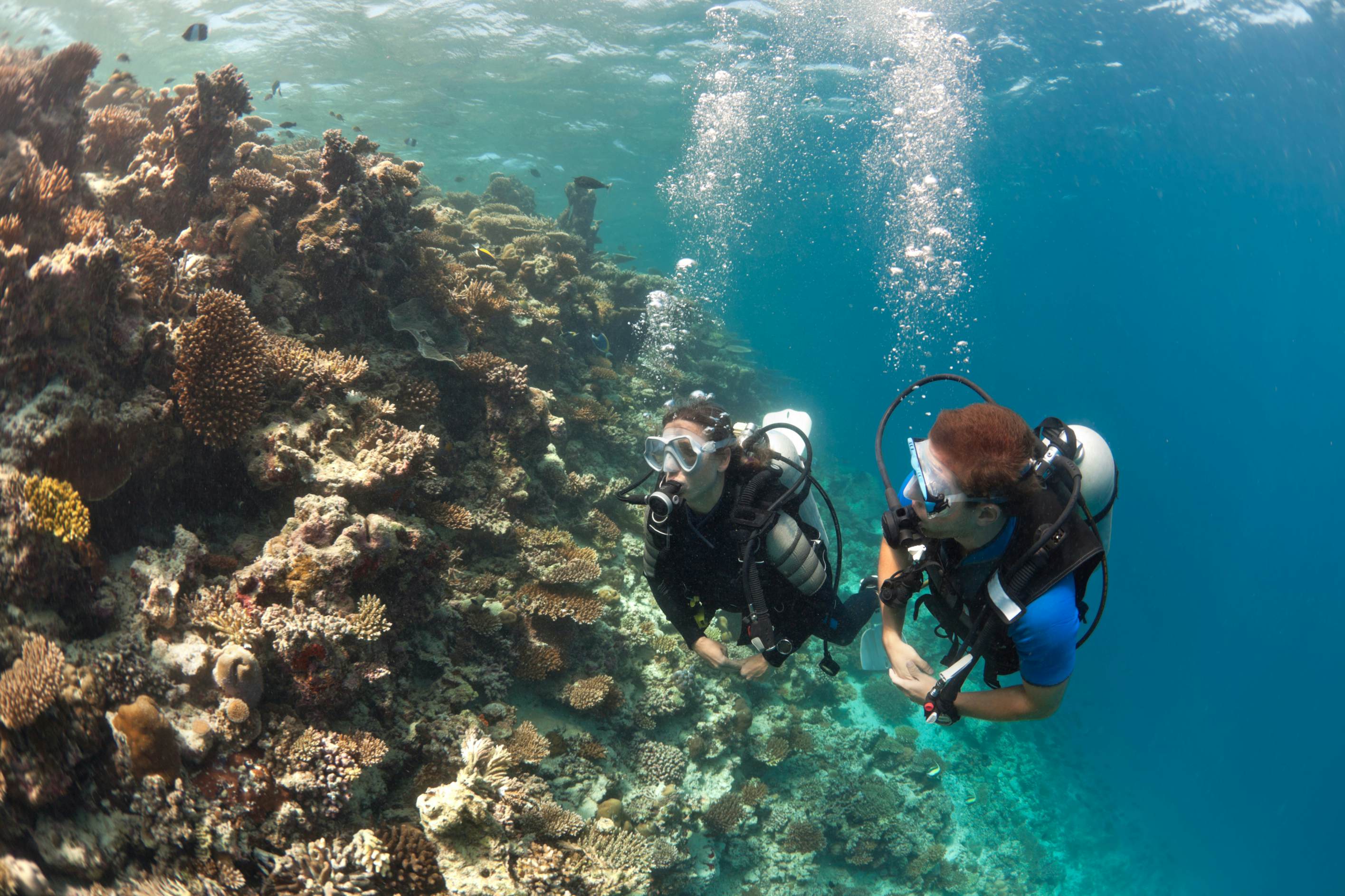 Hol Chan Marine Reserve Belize Attractions Lonely Planet