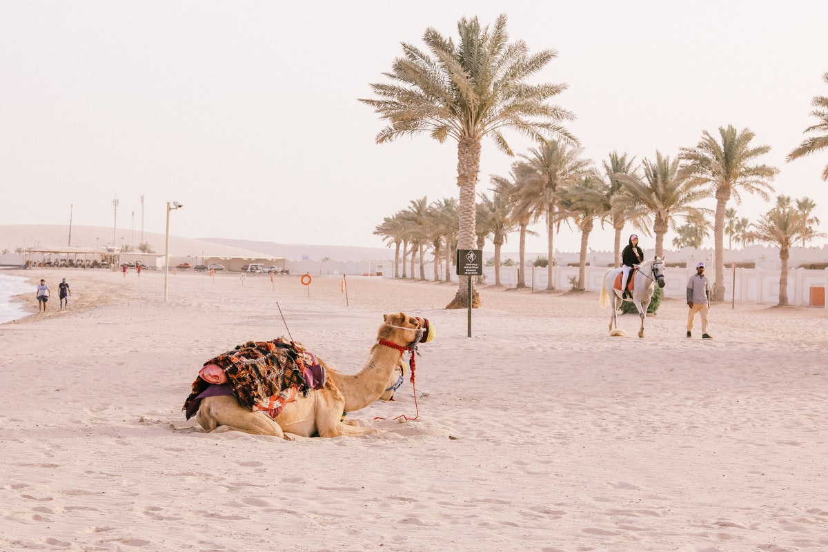 tourism in qatar essay