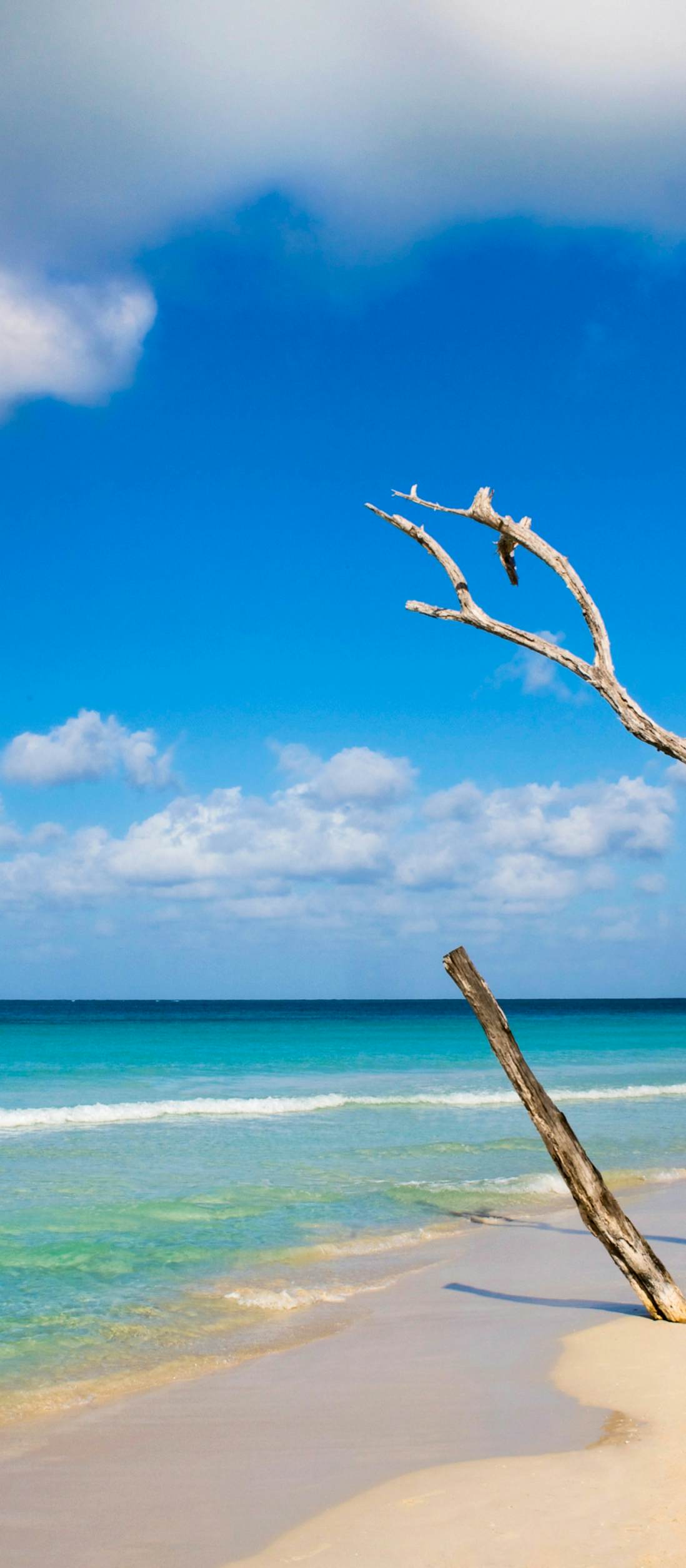 Seven Mile Beach by Image by Cultura Exclusive/Karen Fox / Getty Images Seven Mile Beach by Image by Cultura Exclusive/Karen Fox / Getty Images