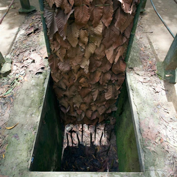 View of one of the leaf-covered traps used by Vietnamese soldiers during the Vietnam war, near HoChiMinh City, Vietnam