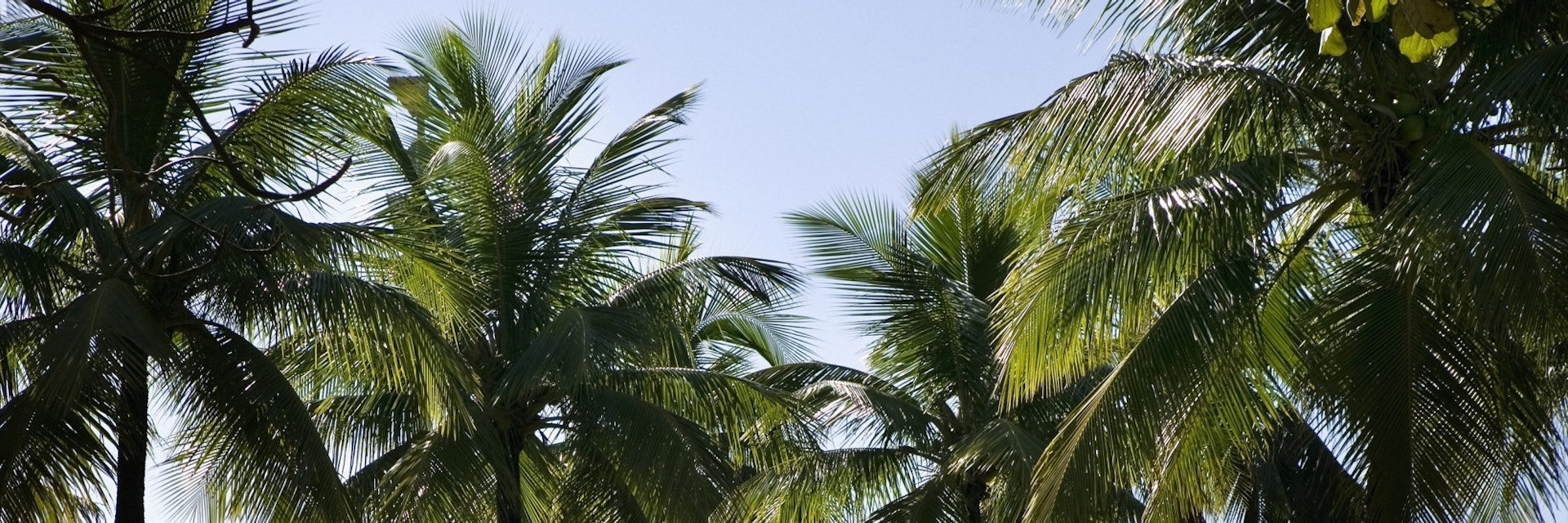 Brazil, Rio De Janeiro, Flamengo park