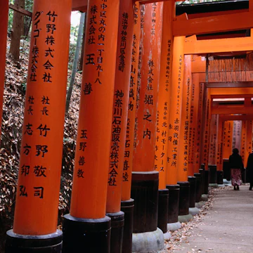People walking through Fushimi-Inari Taisha 'torii tunnels'.