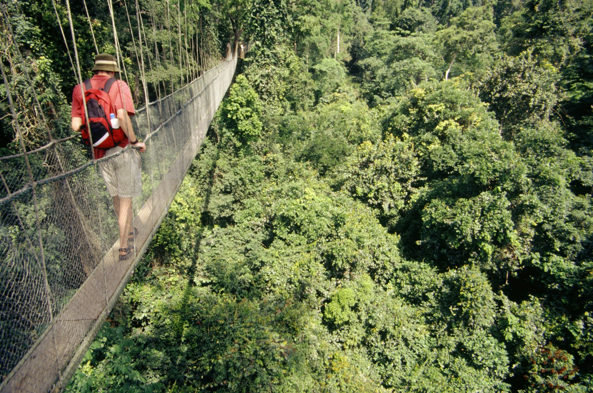 A hiker on a rope suspension bridge, part of the canopy walk at Kakum National Park, Ghana, West Africa