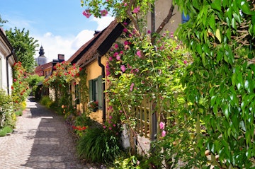 Little picturesque street in Visby, Gotland. Lots of flowers, roses and green leaves in front of and between houses.