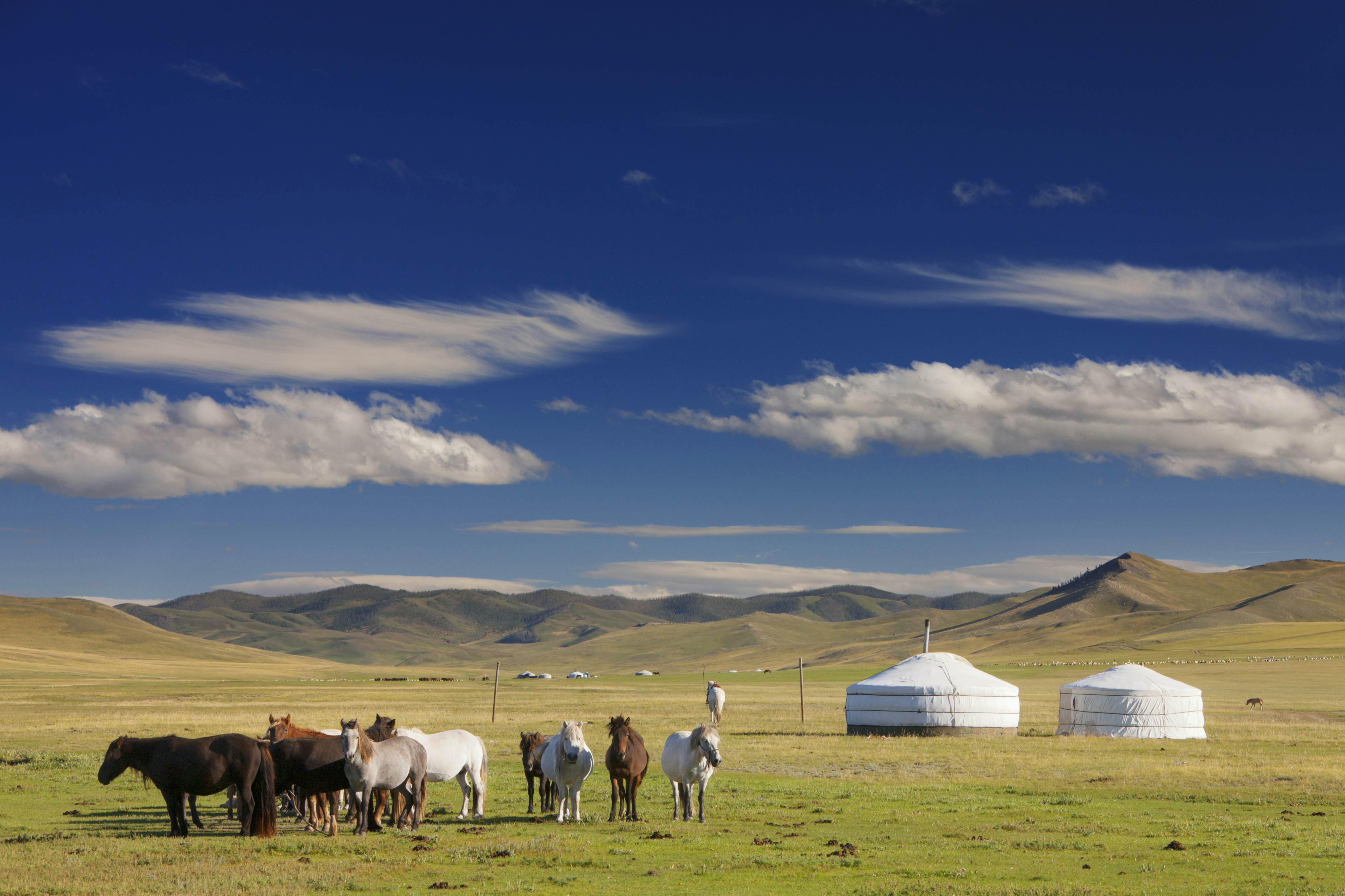 Central Mongolia Travel | Mongolia - Lonely Planet