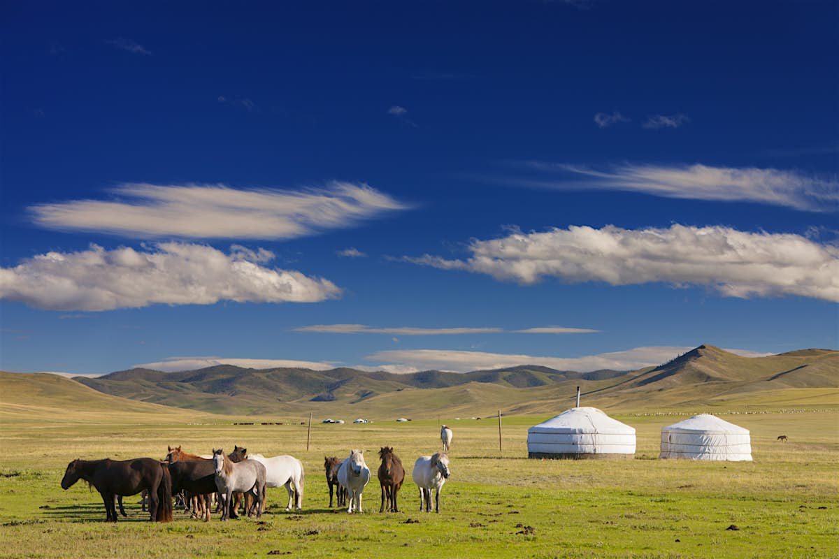 Central Mongolia travel | Mongolia - Lonely Planet