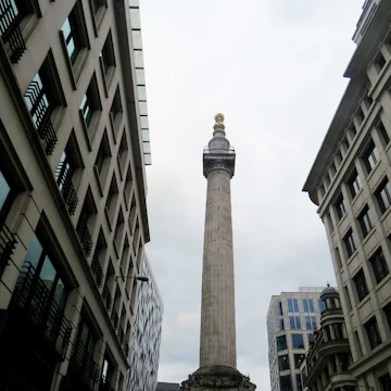 Looking up at Monument, a column marking the spot where the Great Fire of London started