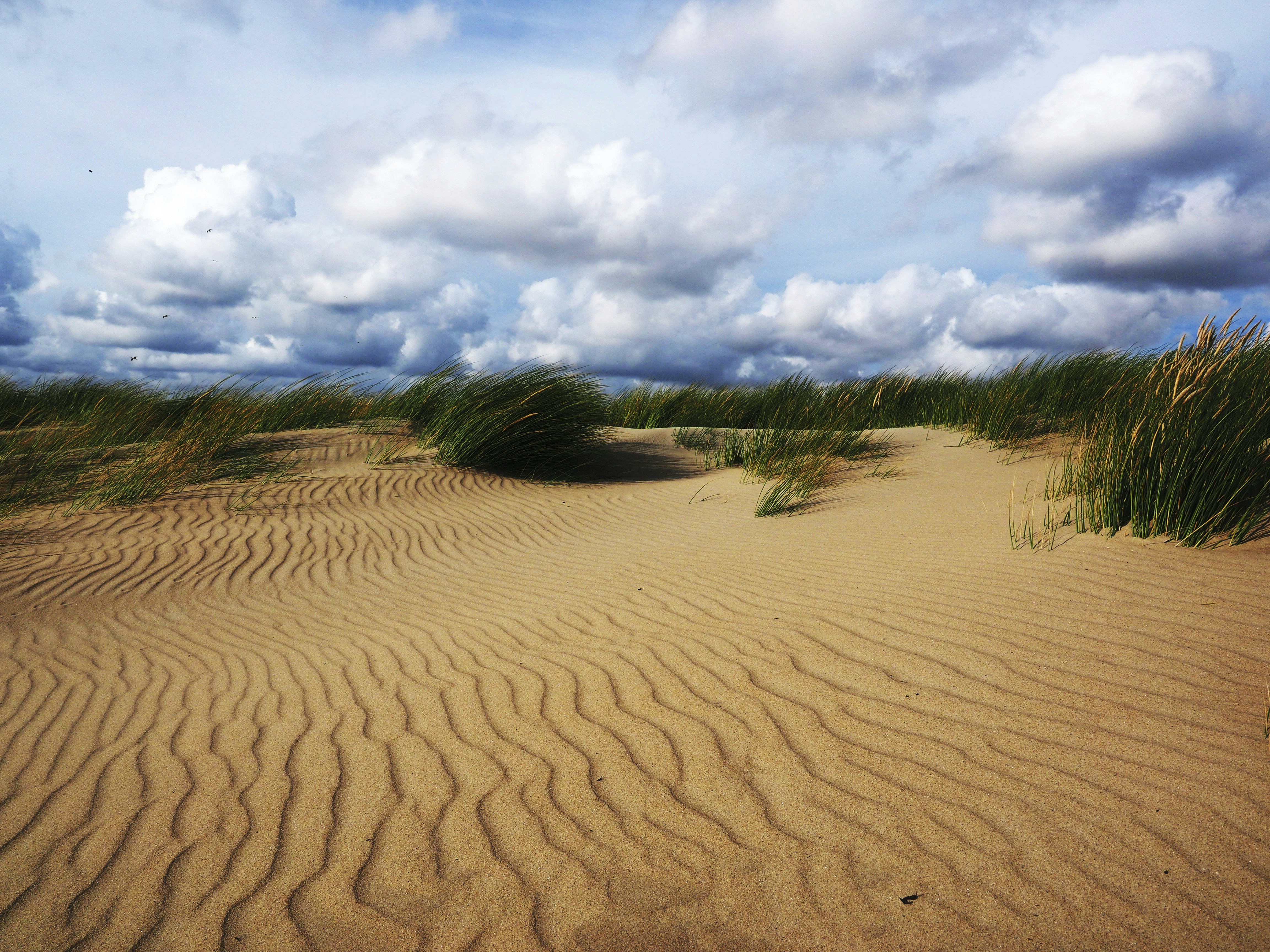 Sand Dunes