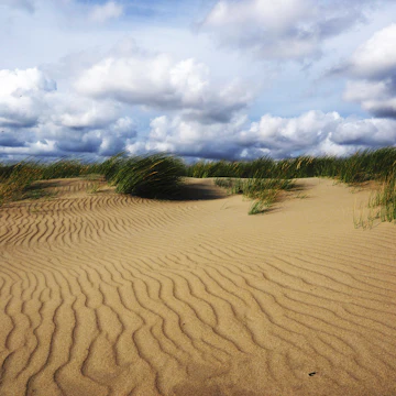Sand Dunes