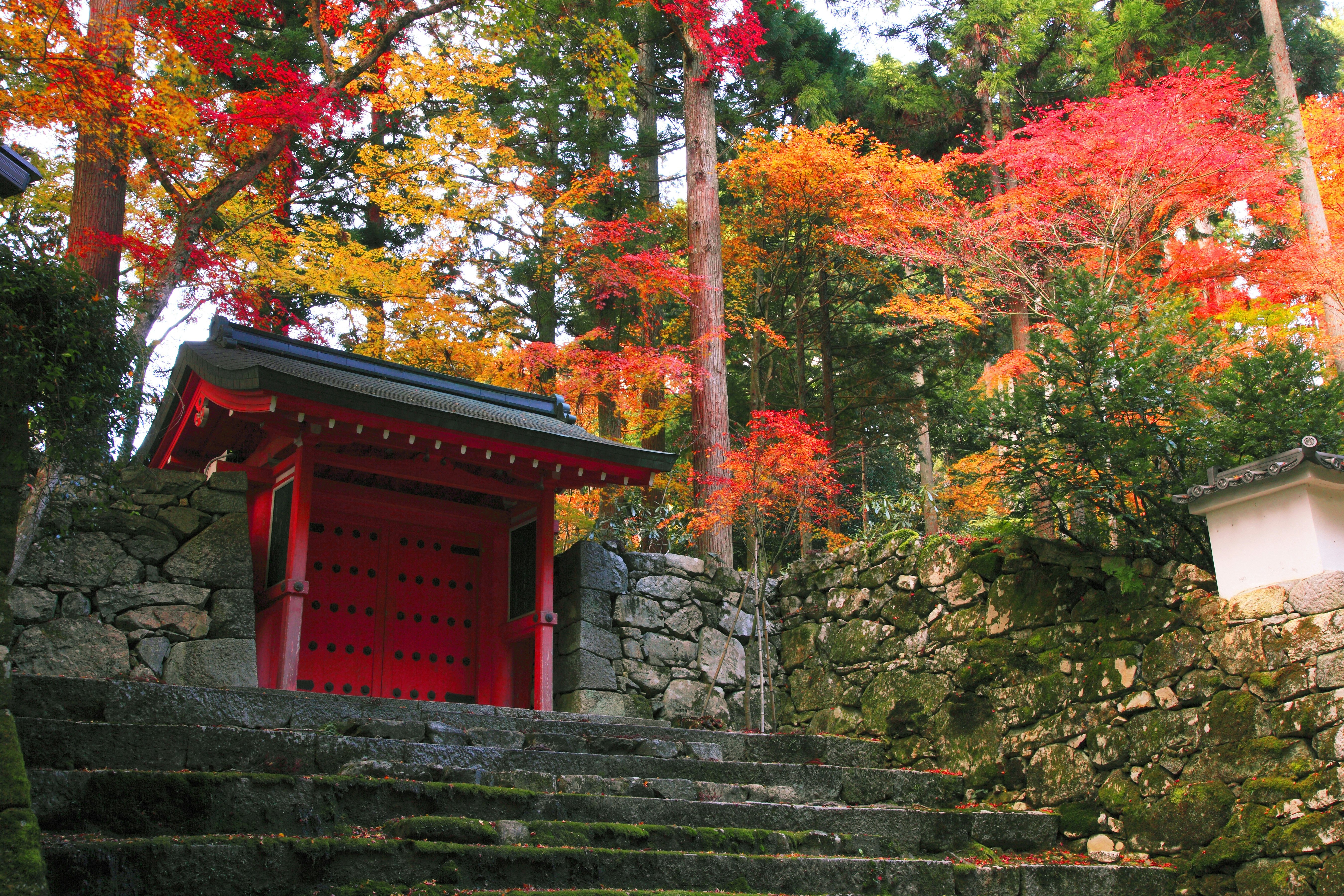 Japan, Kinki Region, Kyoto Prefecture, Kyoto, View of Sanzen-in Temple. (Photo by: JTB/UIG via Getty Images) (Photo by: JTB Photo/UIG via Getty Images)